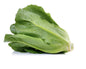 *Organic Salad