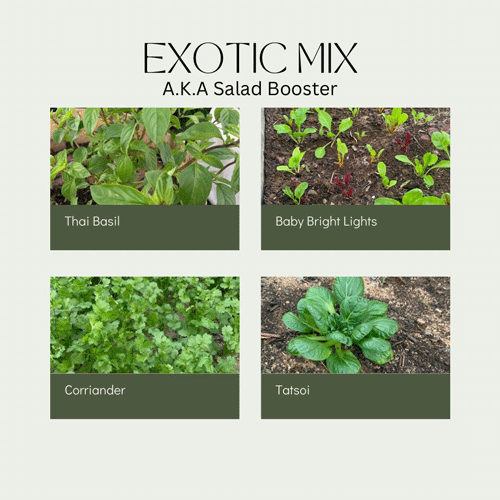 *Organic Salad