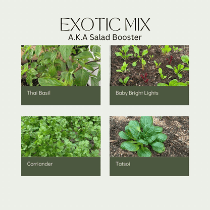*Organic Salad