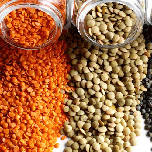 Lentils