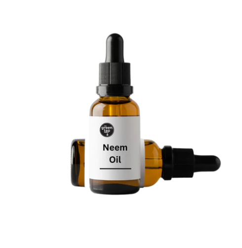 Body Oils