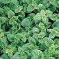 *Organic Herbs