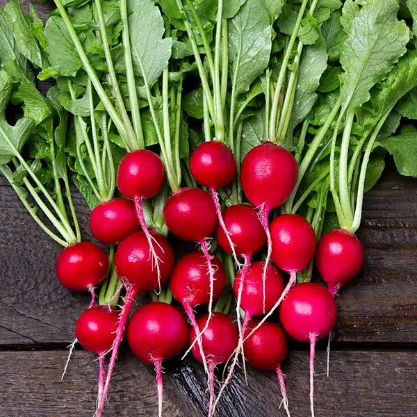 *Organic Salad