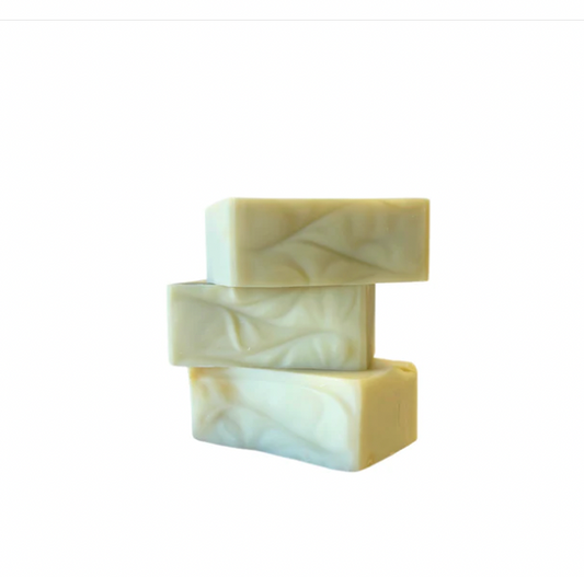 Shampoo Bars