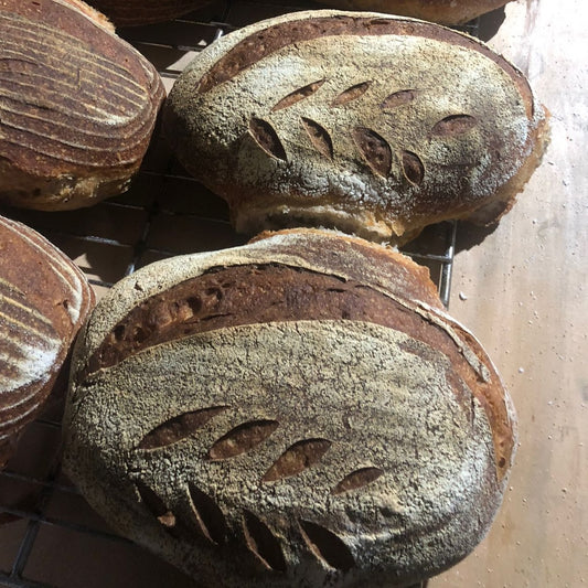 Sliced Sourdough  | Frozen
