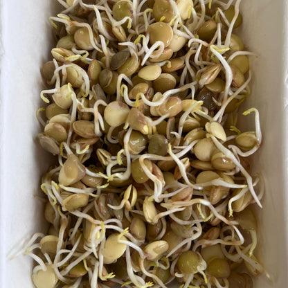 *Organic Sprouts