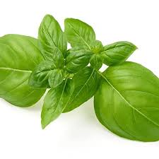 *Organic Herbs