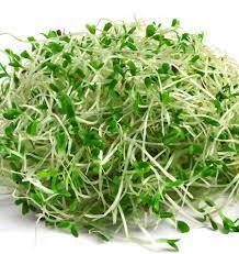*Organic Salad