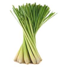 *Organic Herbs